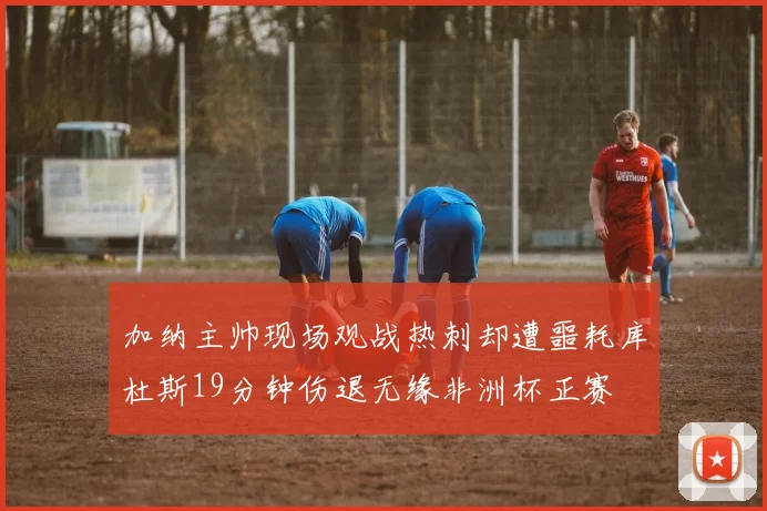 加纳主帅现场观战热刺却遭噩耗库杜斯19分钟伤退无缘非洲杯正赛