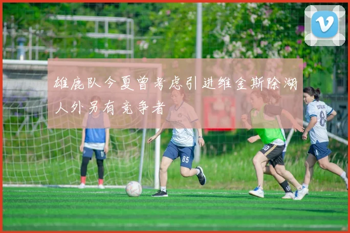 雄鹿队今夏曾考虑引进维金斯除湖人外另有竞争者