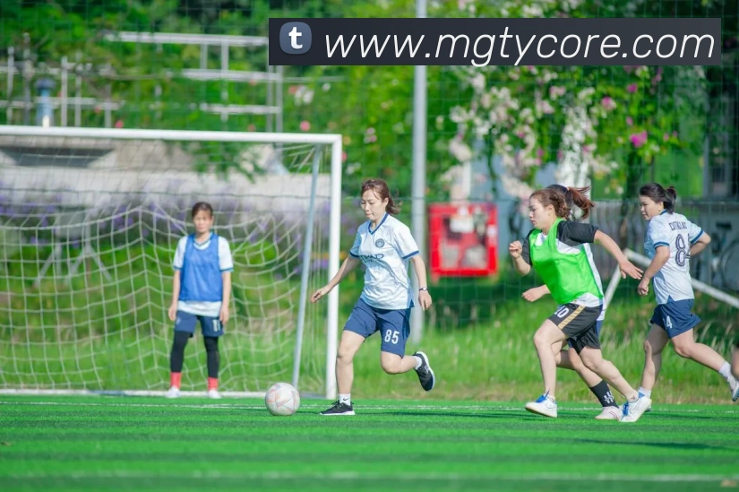 芒果体育平台生态图