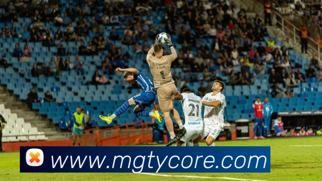 芒果体育APP 封面图